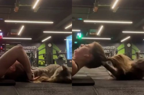 Türkiyədə idman zalında qadına “hücum edən” pişik hər kəsi güldürdü - VİDEO