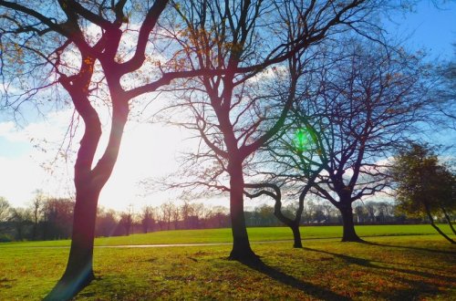 Havanın temperaturu ötən günlərlə müqayisədə yüksələcək