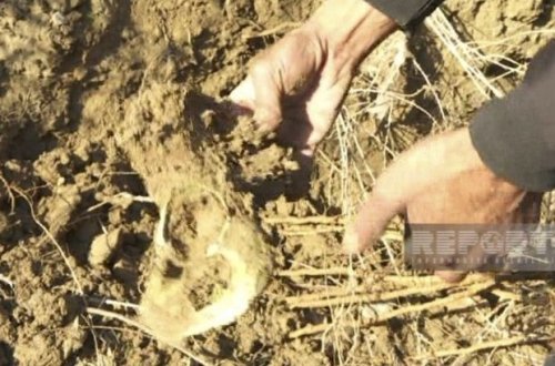 Hacıqabulda insan sümükləri tapıldı - FOTO