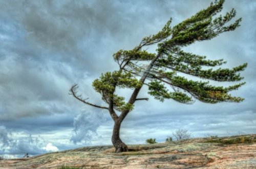 Milli Hidrometeorologiya Xidməti yenidən əhaliyə xəbərdarlıq edib