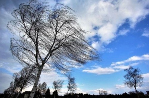 Güclü küləklə əlaqədar xəbərdarlıq edilib