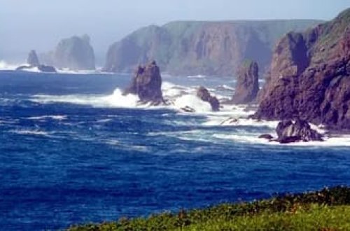 Kuril adaları sahillərində 6,5 bal gücündə zəlzələ baş verib