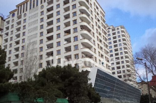 Oliqarxdan əzələ nümayişi: FHN-nin qərarını heçə sayan “Səfalı Ticarət Mərkəzi“ ASC kimə güvənir?