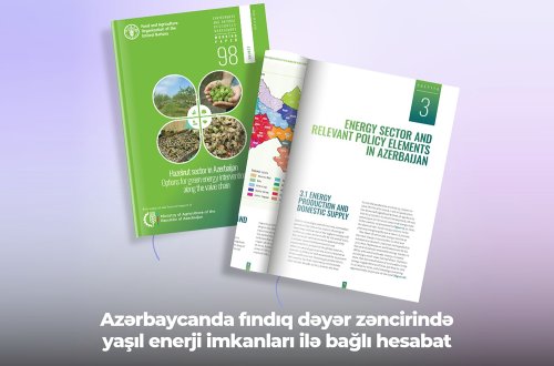 Azərbaycanda fındıq dəyər zəncirində yaşıl enerji imkanları ilə bağlı hesabat dərc edilib