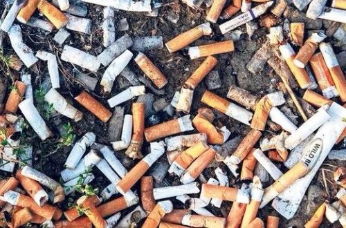 Siqaret kötüklərindən yollar düzəldiləcək