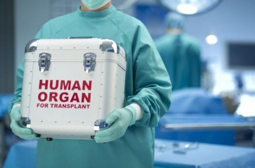 Şəxsin ölümündən sonra orqanlarının bağışlanması ilə bağlı razılıq ərizəsinin forması təsdiqləndi