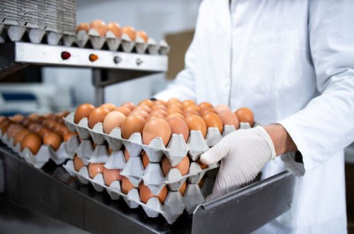 Azərbaycandan Rusiyaya yeni yumurta partiyası tədarük edildi