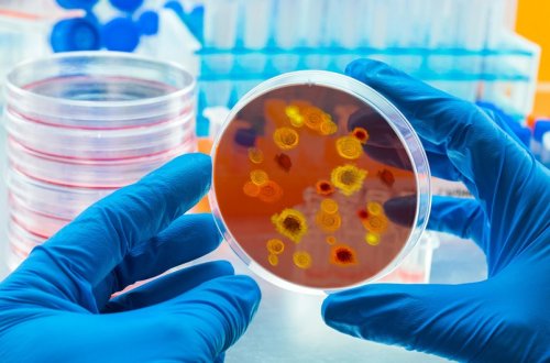 Davosda “COVID-19”dan 20 dəfə çox ölümə səbəb ola bilən “X xəstəliyi” müzakirə ediləcək