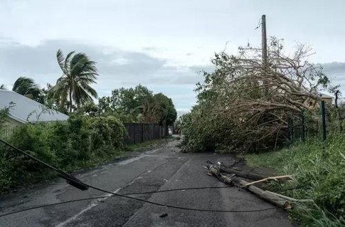 Belal qasırğası Fransanın Reunion adasını vurub