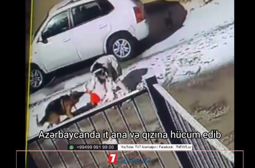 Azərbaycanda it ana və qızına hücum edib - DƏHŞƏTLİ VİDEO