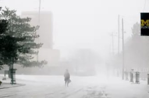 ABŞ-da qütb soyuğu nəticəsində 6 gündə 21 nəfər öldü