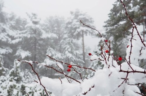 Havanın temperaturu 5-10 dərəcə enəcək, yağış, qar yağacaq, güclü külək əsəcək - XƏBƏRDARLIQ