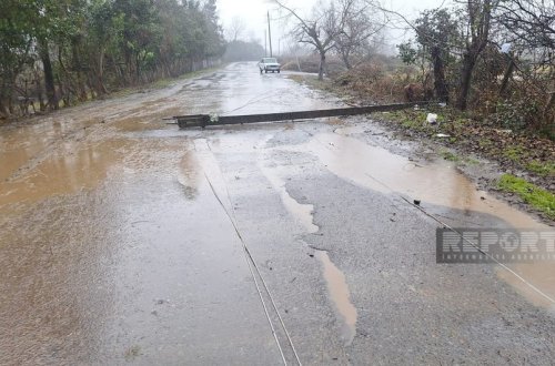 Lənkəranda avtomobil dirəyə çırpılıb, yeniyetmə ölüb