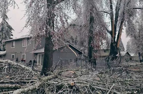 ABŞ-da ölənlərin sayı 90-a yaxınlaşıb