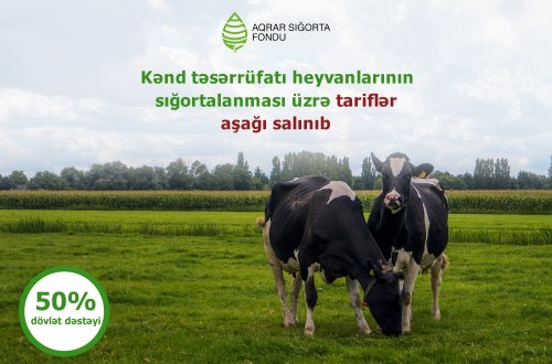Kənd təsərrüfatı heyvanlarının sığortalanması üzrə tariflər endirilib