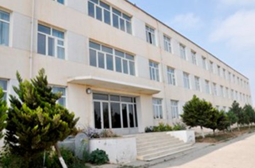 Bakıda şagirdi təhqir edən müəllimə töhmət verilib