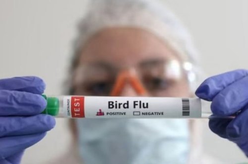 Çində eyni vaxtda iki növ quş qripinə yoluxan qadın ölüb