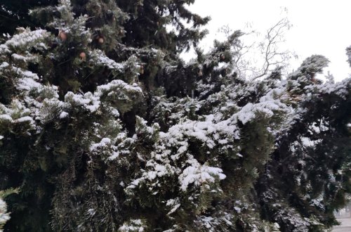 Bəzi rayonlarda qar yağıb - FAKTİKİ HAVA