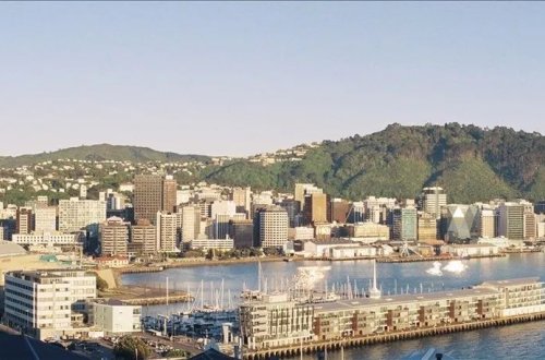 Yeni Zelandiyada işsizlik nisbəti artıb