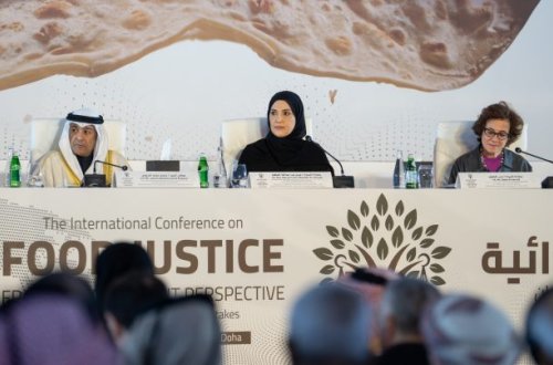 Dohada qida təhlükəsizliyi ilə bağlı beynəlxalq konfrans keçirilib-FOTOLAR