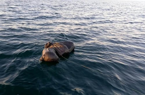 DSX: Xəzər dənizində 14 kiloqramdan çox marixuana aşkarlanıb