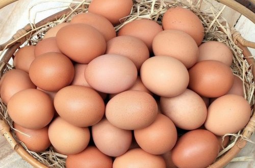 Azərbaycan və Türkiyə Rusiyaya 20 milyona yaxın yumurta ixrac edib