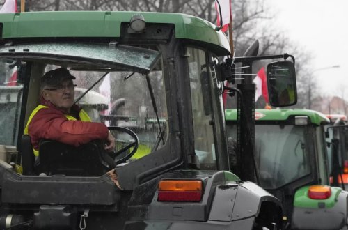 Polşa Ukraynadan gətirilən bütün taxıl məhsullarının keyfiyyətini yoxlayacaq