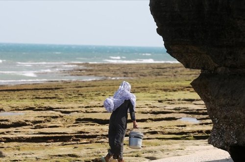 İran Qeşm adasına tikiləcək körpü üçün çinlilərlə razılığa gəlib