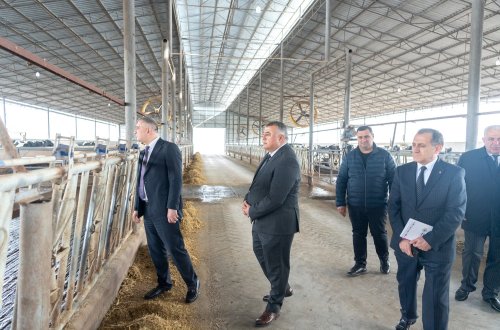 Kənd təsərrüfatı nazirinin müavini Elçin Zeynalov Sabirabadda vətəndaşları qəbul edib, təsərrüfatlara baş çəkib