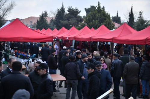 Salyan rayonunda Aqrar Biznes Festivalı keçirilib