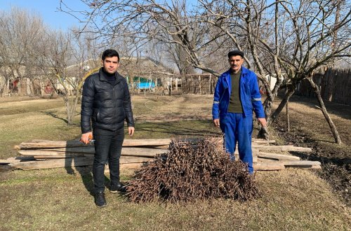 Yerli üzüm sortlarının qorunub saxlanılması və çoxaldılması istiqamətində ekspedisiyalar təşkil olunur
