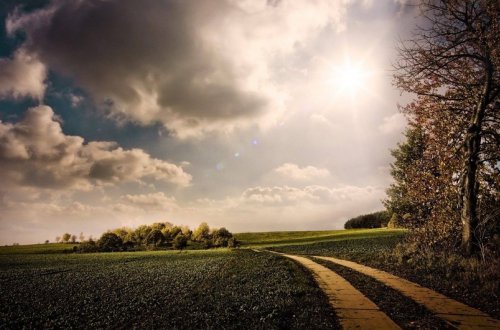 Sabahın hava proqnozu açıqlanıb