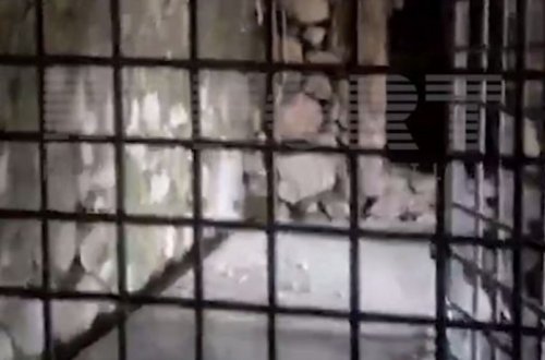 Malıbəylidə erməni separatçıların azərbaycanlı əsir və girovları saxladığı tikili aşkarlanıb - EKSKLÜZİV