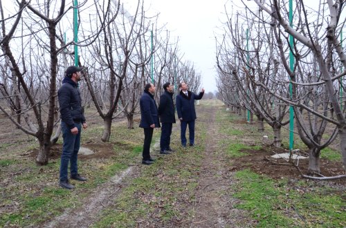 Kənd Təsərrüfatı Nazirliyinin vəzifəli şəxsləri tərəfindən bölgələrdə vətəndaş qəbulları keçirilir