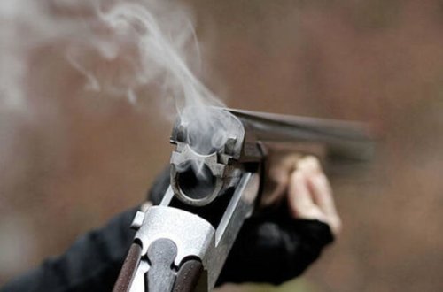 Məhkəmə qardaşını qətlə yetirən şəxslə bağlı qərar verdi