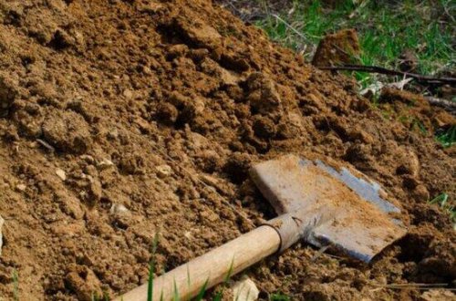 Azərbaycanda ata qızını öldürüb həyətdə basdırıbmış - 4 il sonra üzə çıxdı