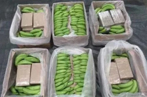 İngiltərədə banan yüklü konteynerdə 5,7 ton narkotik maddə ələ keçirildi