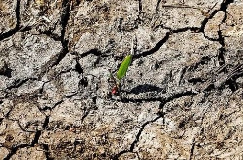 Zambiyada Milli fəlakət elan edildi