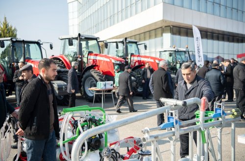 Yevlaxda Aqrar Biznes Festivalı və kredit yarmarkası keçirilib