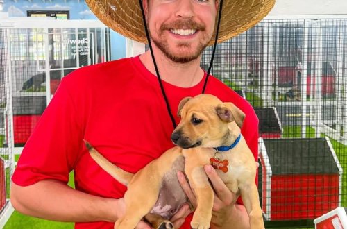 200 milyon abunəçiyə çataraq dünya rekordu qırdı