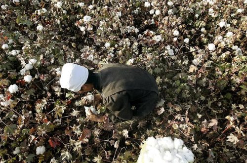 Avropa məcburi işçilərin əməyi ilə istehsal olunan məhsulları almayacaq