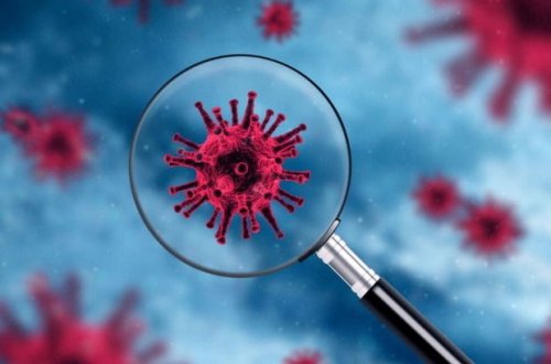 Koronavirus epidemioloqları təhlükəli xəstəliyi tamamilə MƏHV ETDİLƏR