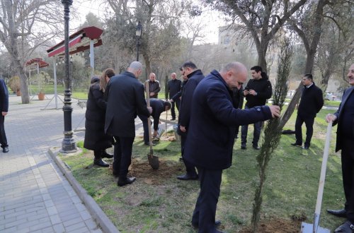 Nəsimi rayonunda 2024-cü ilin “Yaşıl dünya naminə həmrəylik ili” elan edilməsi çərçivəsində COP29-a həsr edilmiş ağacəkmə aksiyası keçirilib