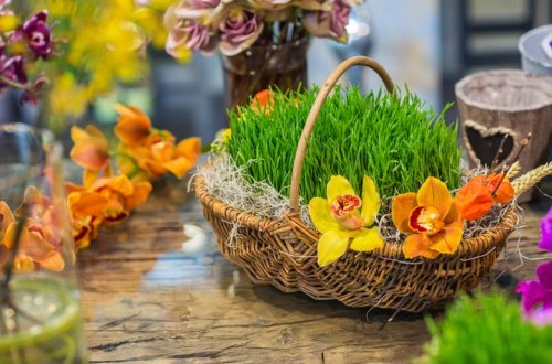 Bayramdan sonra səməni hara atılmalıdır? - VİDEO