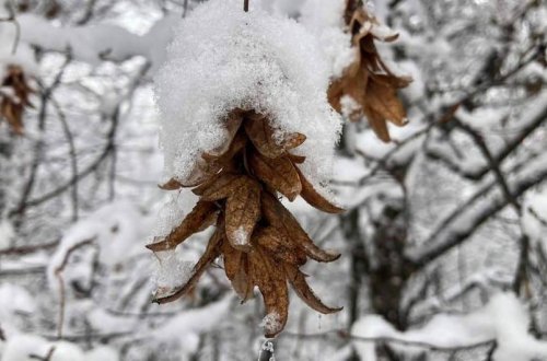 Şahdağa 31 sm qar yağıb, dağlarda şaxta olub - FAKTİKİ HAVA