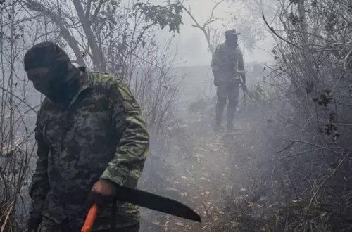 Meksika meşə yanğınları davam edir