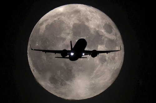 Türkiyə aviaşirkətinin Avropaya uçuşları qadağan edilib