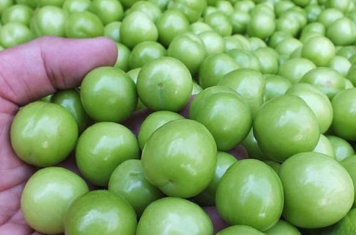 Bir müddət əvvəl kiloqramı 500 manata təklif olunan alça kəskin ucuzlaşıb - VİDEO