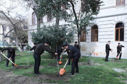 Dövlət Xidməti növbəti dəfə ağacəkmə aksiyası keçirdi