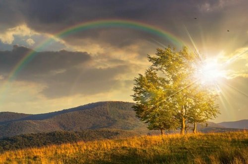 Sabah 24 dərəcə isti olacaq